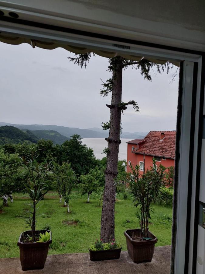 Apartmani Kuljanin Donji Milanovac Bilik gambar